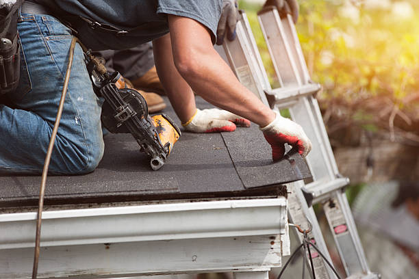 Roof Gutter Cleaning in Vincent, AL